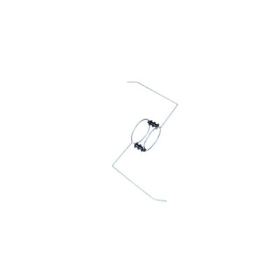 EARTH LIVE LOOP