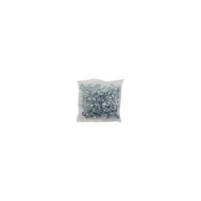 HINGE SCREWS - QTY 100